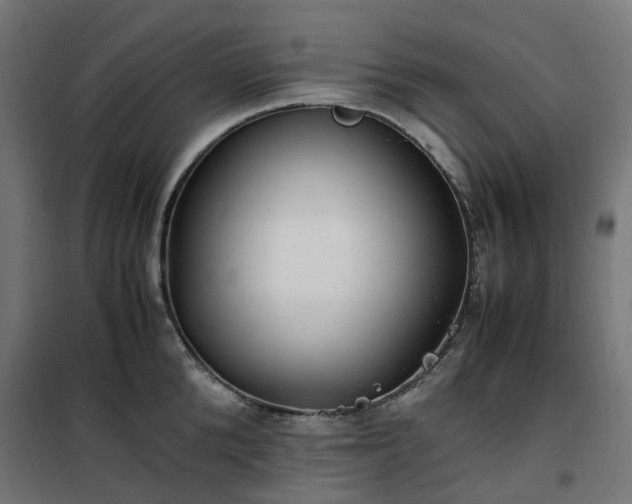 X0000100490904200806201650