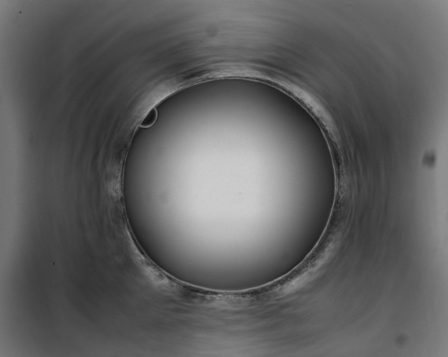 X0000100490905200806201650