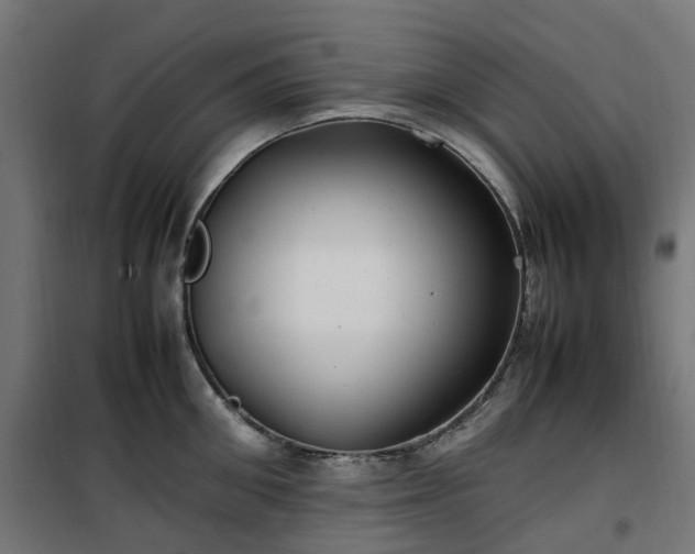 X0000100490906200806201650
