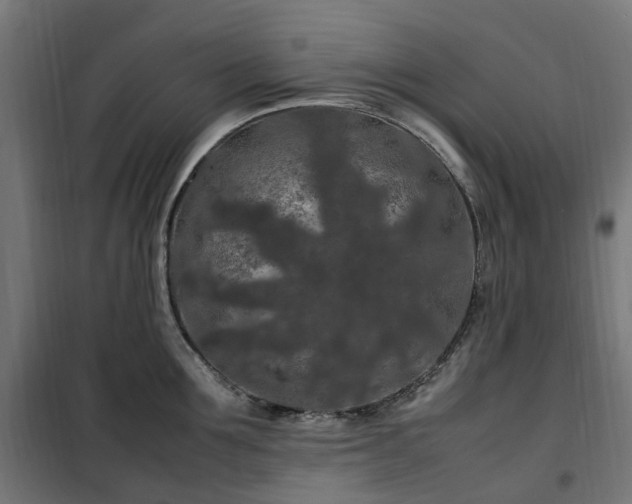 X0000100490907200806201650