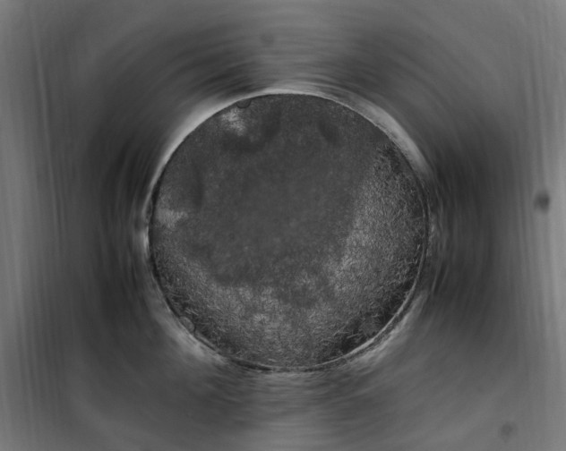X0000100490908200806201650