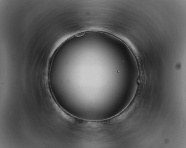 X0000100490910200806201650