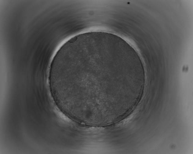 X0000100490912200806201650