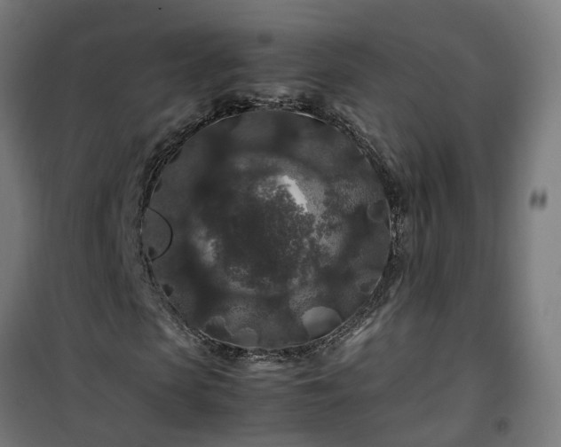 X0000100490913200806201649