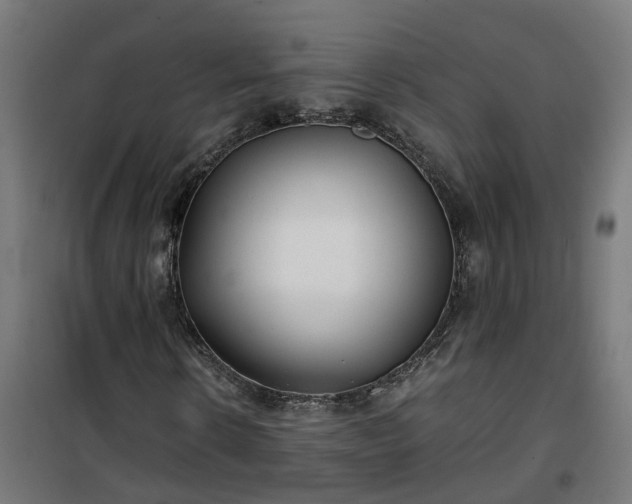 X0000100490914200806201649