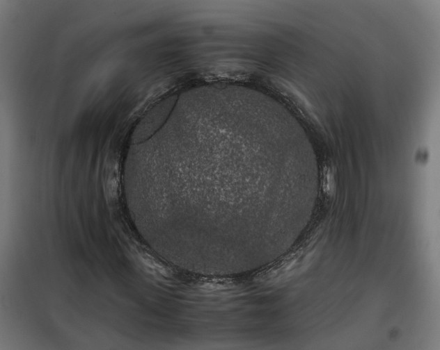X0000100490915200806201649