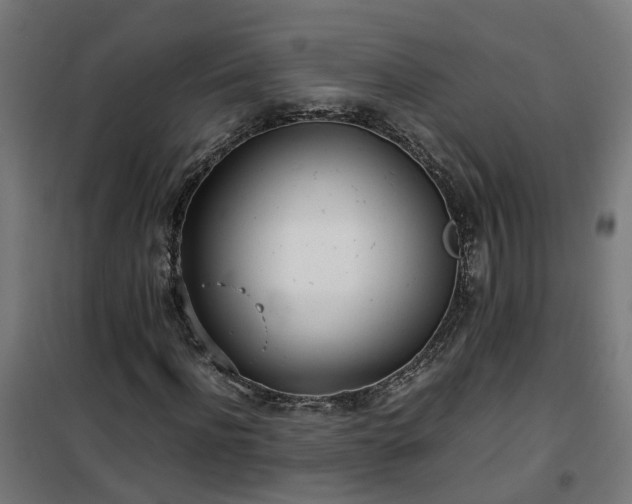 X0000100490916200806201649