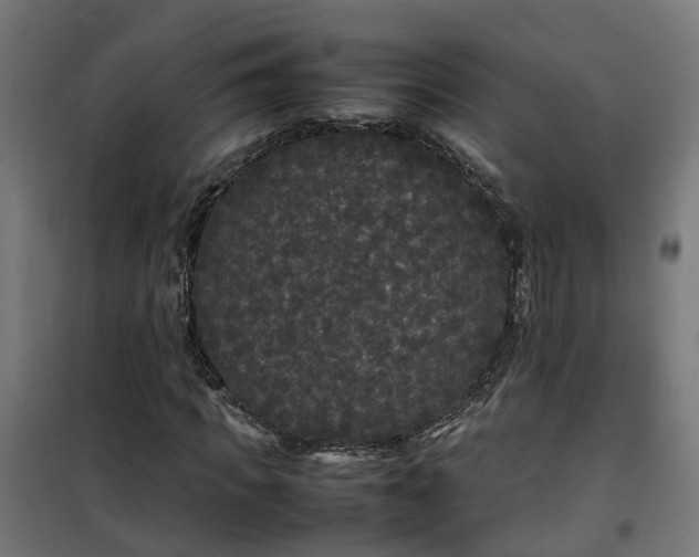 X0000100490917200806201649