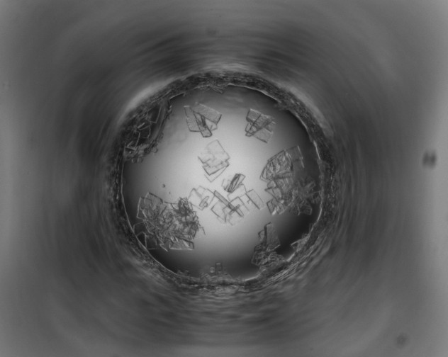 X0000100490919200806201649
