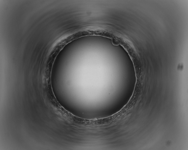 X0000100490920200806201649