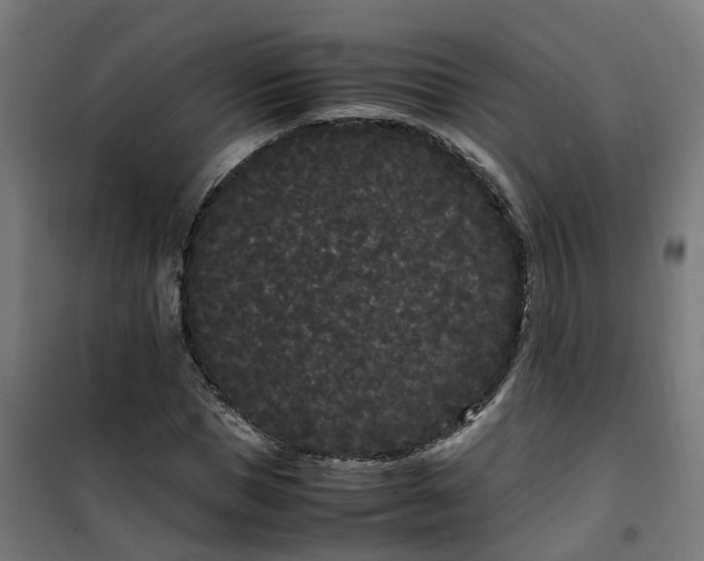 X0000100490921200806201649