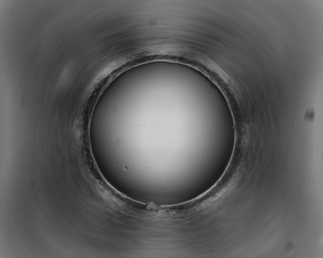 X0000100490922200806201649