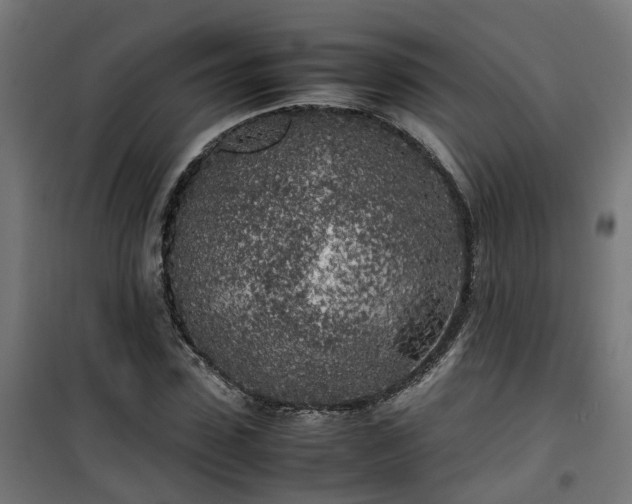 X0000100490923200806201649