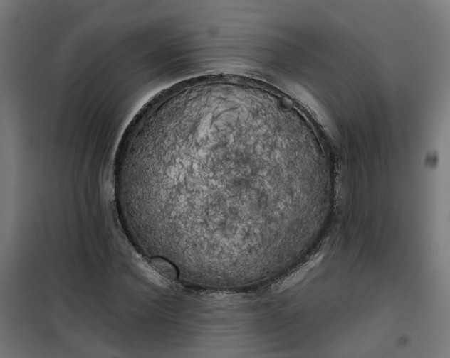 X0000100490924200806201649