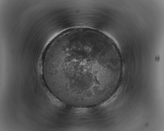 X0000100490925200806201649