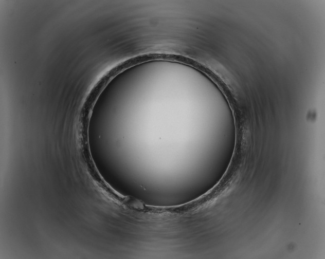 X0000100490926200806201649