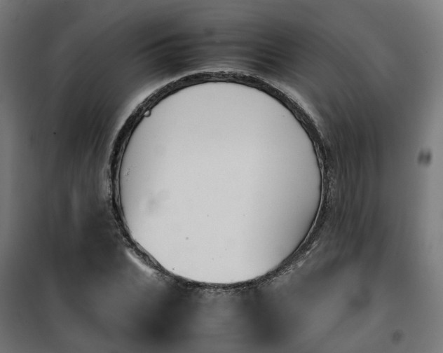 X0000100490927200806201649