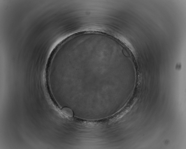 X0000100490928200806201649