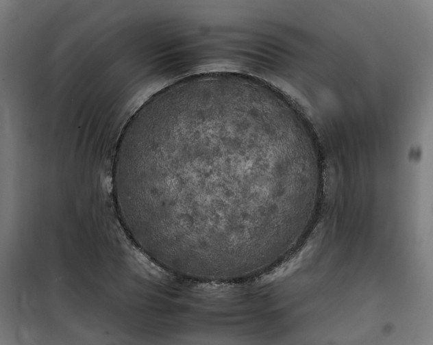 X0000100490929200806201649