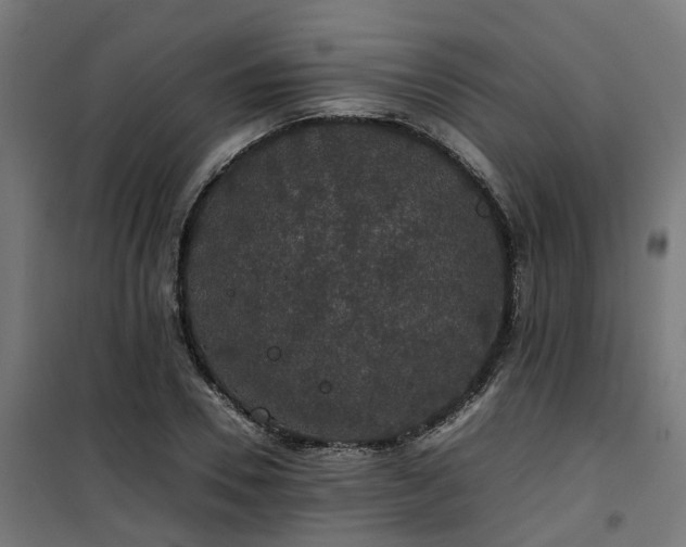 X0000100490930200806201649
