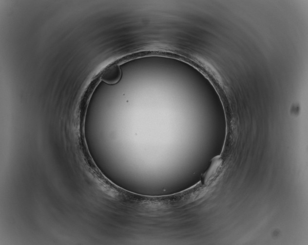 X0000100490931200806201649