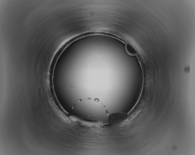 X0000100490932200806201649