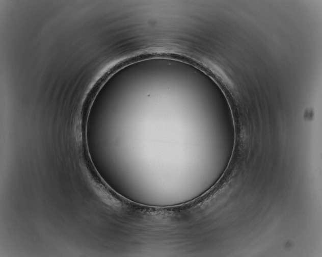 X0000100490934200806201649
