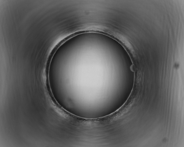 X0000100490936200806201649