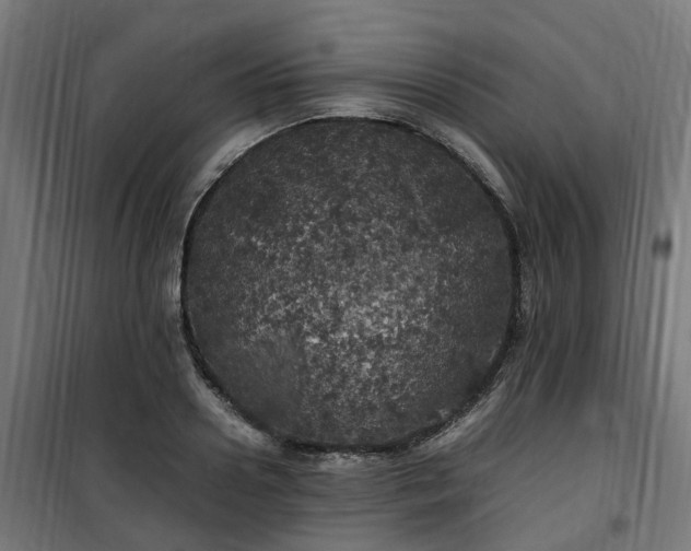 X0000100490938200806201649