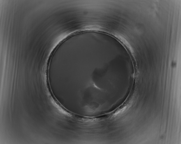 X0000100490941200806201649