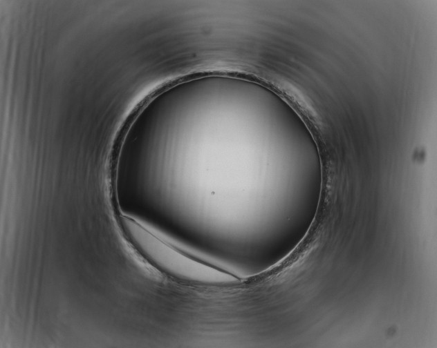 X0000100490942200806201649