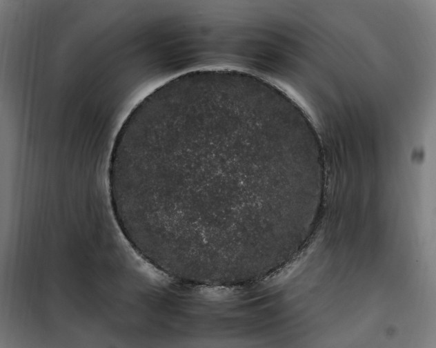 X0000100490943200806201649