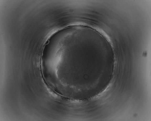 X0000100490945200806201649