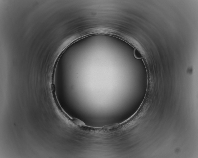 X0000100490946200806201649