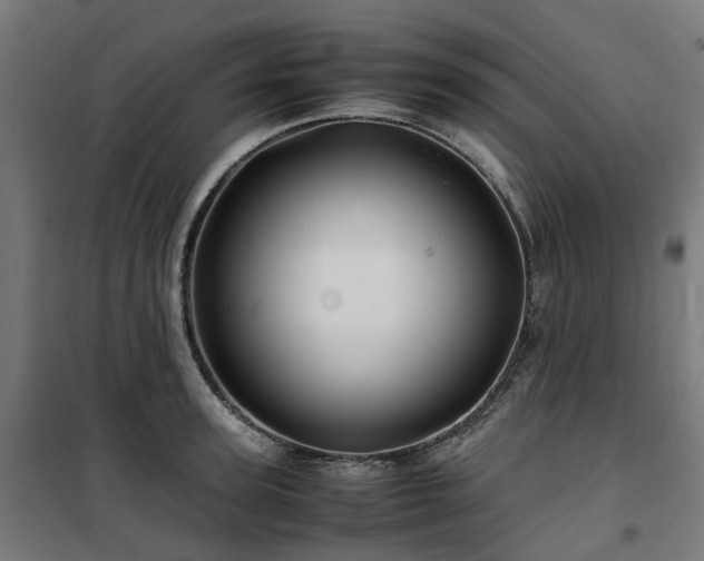 X0000100490947200806201649