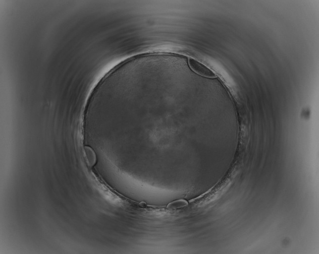 X0000100490948200806201649