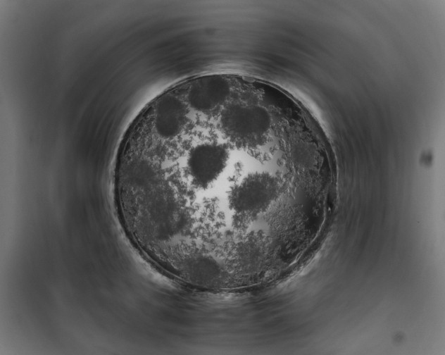 X0000100490949200806201649