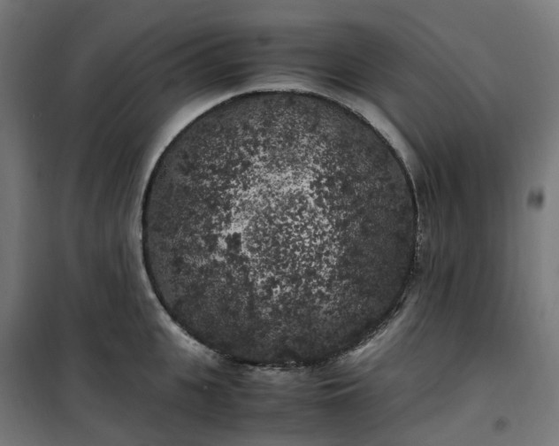 X0000100490951200806201649