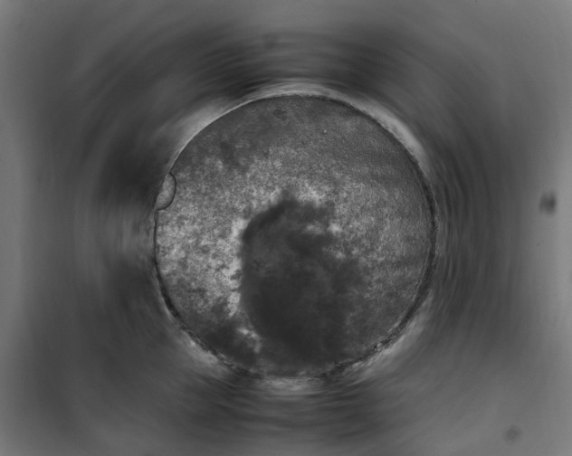 X0000100490953200806201649