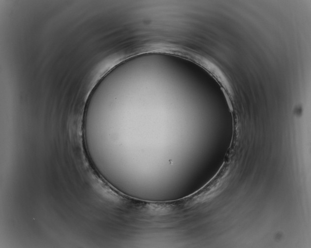 X0000100490954200806201649