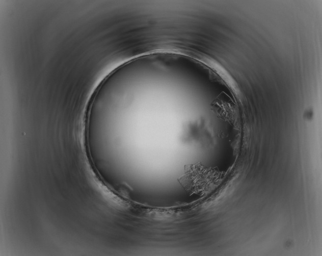 X0000100490955200806201649