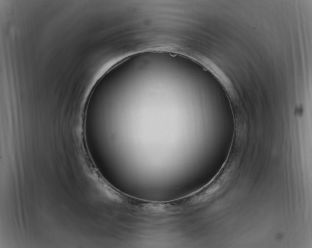 X0000100490956200806201649