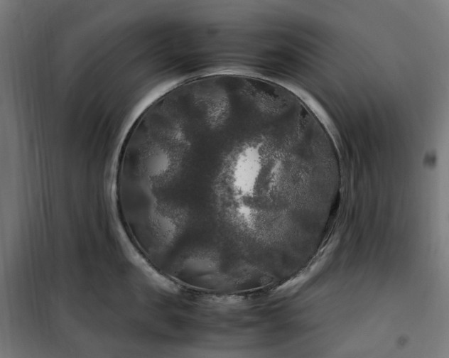 X0000100490957200806201649