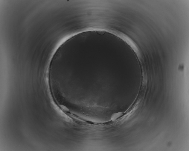 X0000100490958200806201649