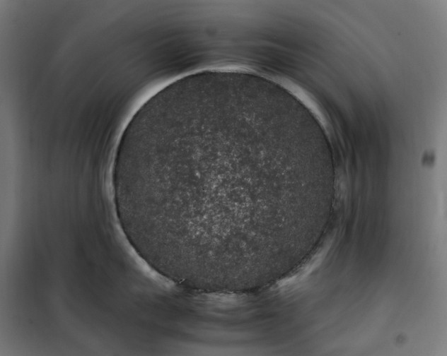 X0000100490959200806201649