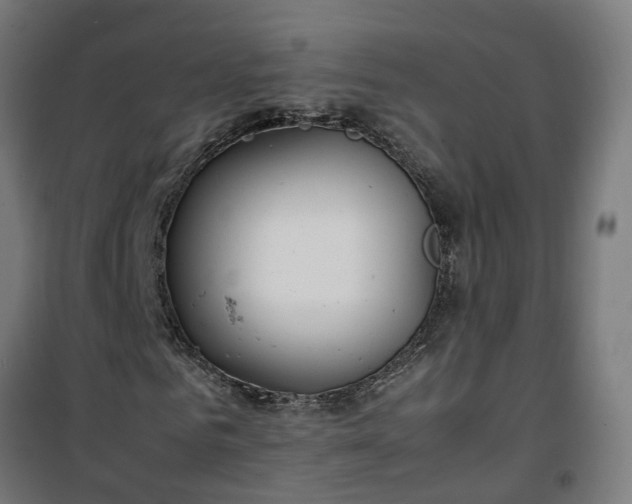 X0000100490961200806201649