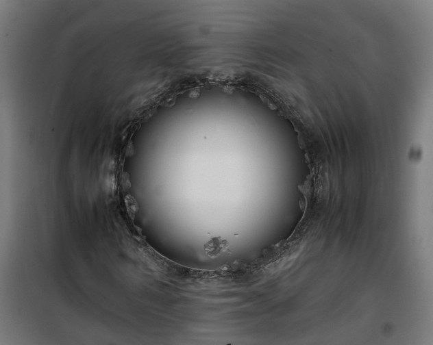 X0000100490962200806201649