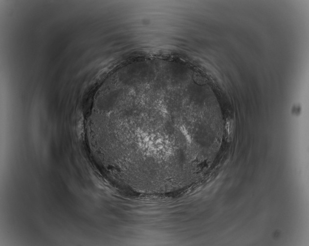 X0000100490963200806201649