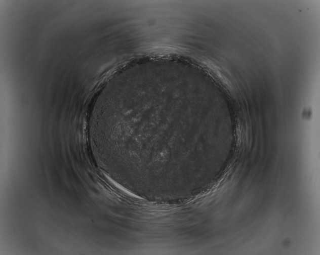 X0000100490964200806201649