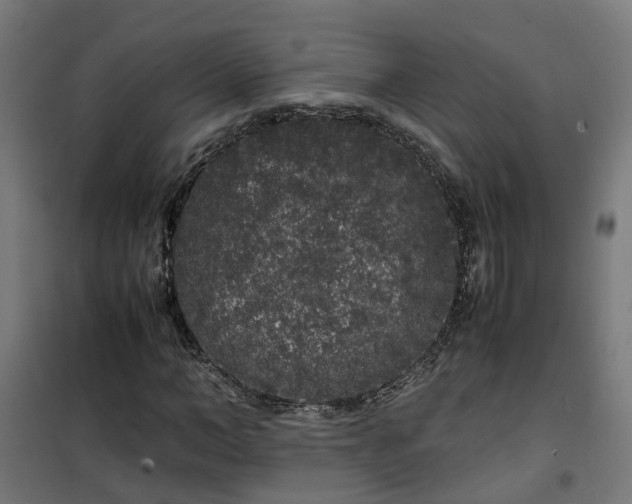 X0000100490966200806201649